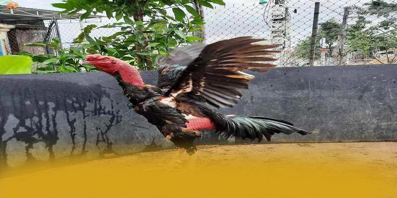 Hệ thống thanh toán tiện lợi tại BET88