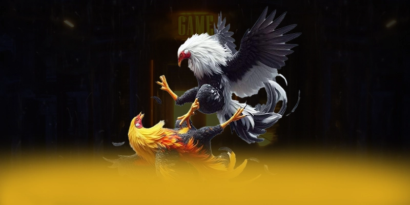 Khám phá W88 - Cổng game đẳng cấp 2026
