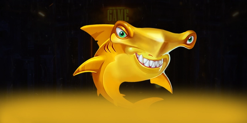 Câu hỏi thường gặp về 8XBET